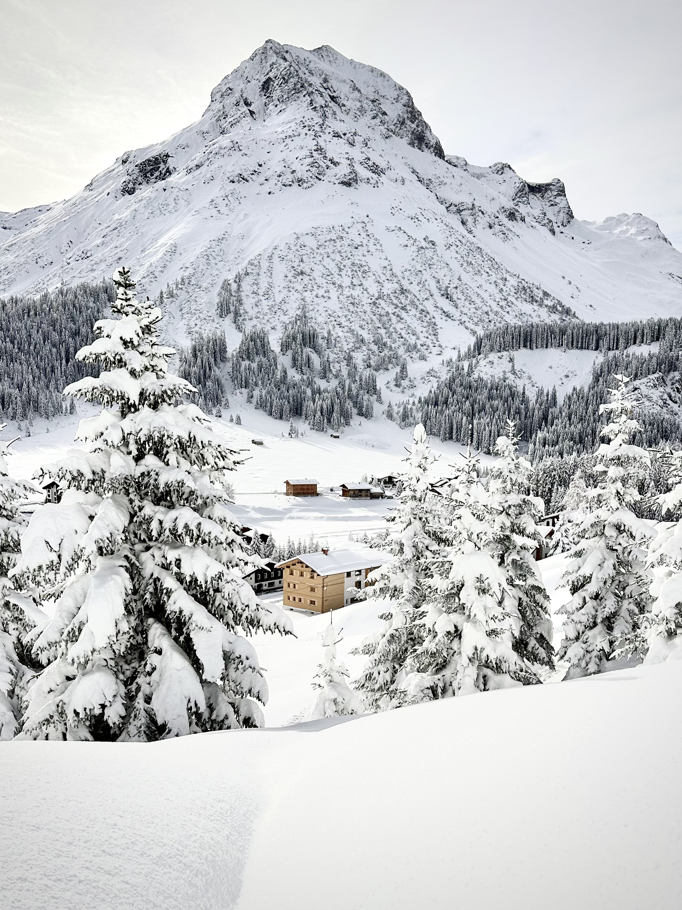 Sonnenhof with Omeshorn in the background